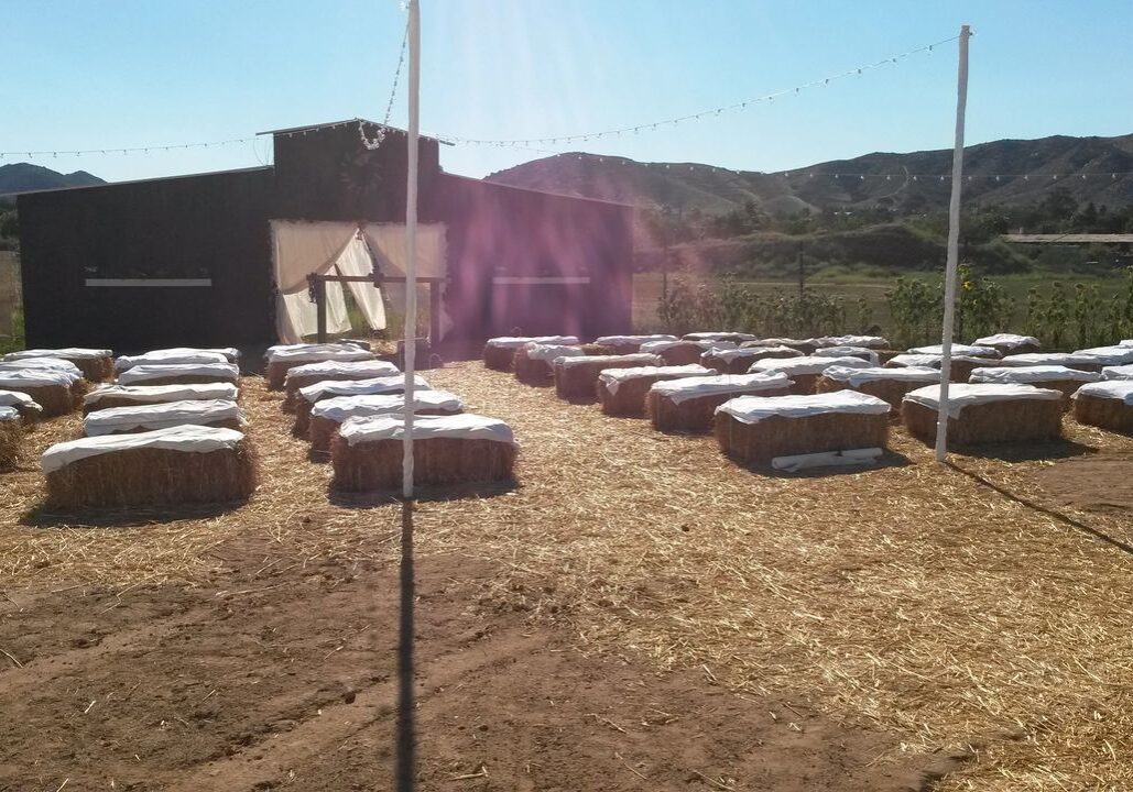 Rows of hay bales covered with white cloth are arranged in front of a barn, with string lights overhead and mountains visible in the background.